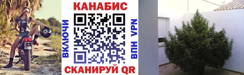 Купить закладку АМФ  Кокаин  Галлюциногенные грибы  Меф мяу мяу  Конопля  Гашиш  Макушино