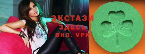 твердый Краснослободск