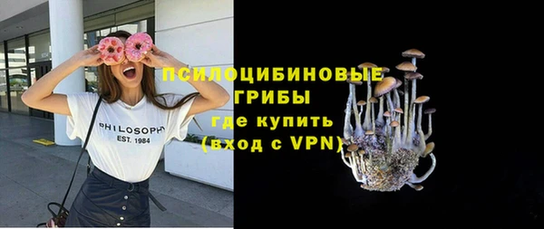 твердый Краснослободск