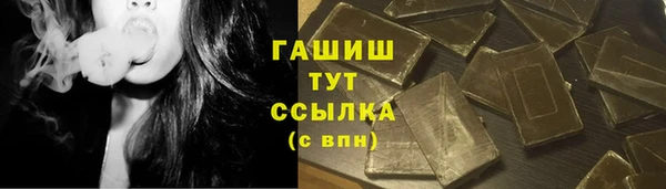 твердый Краснослободск