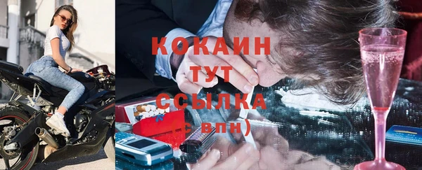 твердый Краснослободск
