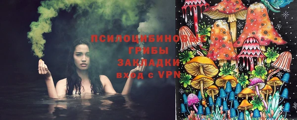 твердый Краснослободск