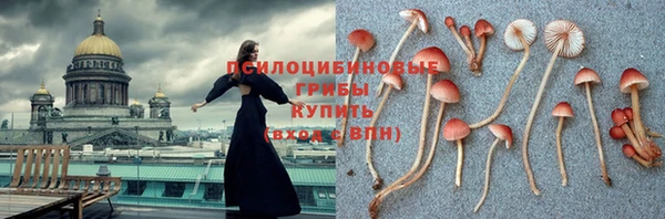 твердый Краснослободск