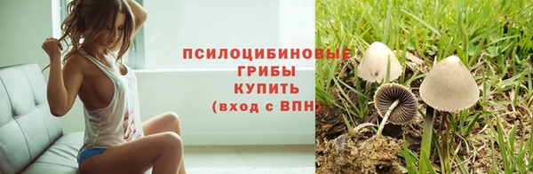 прущие крисы Кулебаки