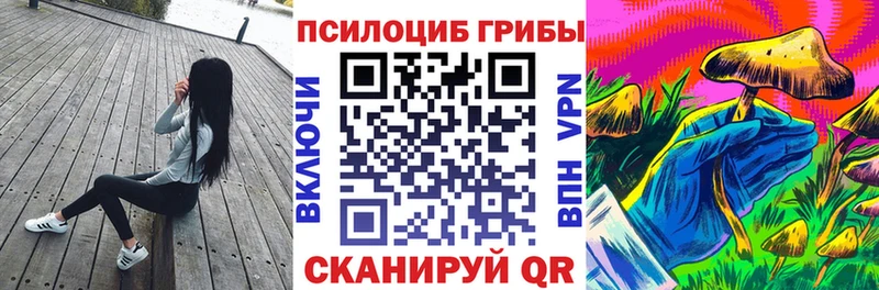 Купить закладки  Макушино  Псилоцибиновые грибы Cubensis 